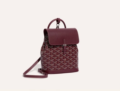 Goyard alpha mini backpack