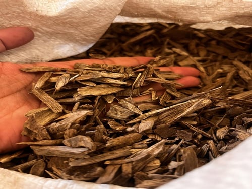 عرض عود إرياني فاخر سويتي