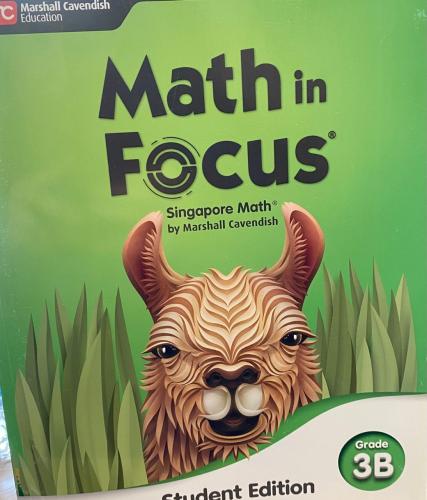 math in focus g3 sb