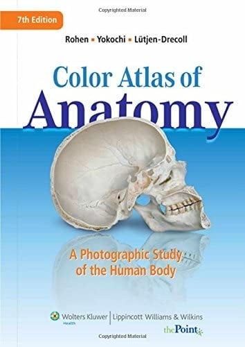 color atlas of anatomy