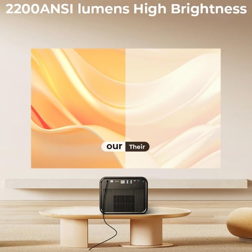 بروجكتر باينتك روك R90 مع ٢ مايك