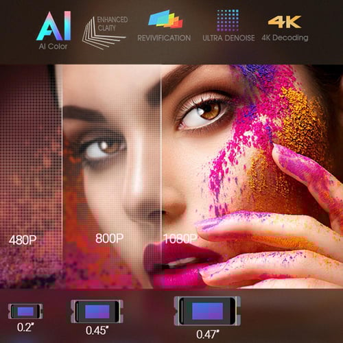 بروجكتر باينتك روك R90 مع ٢ مايك