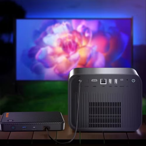 بروجكتر باينتك روك R90 مع ٢ مايك