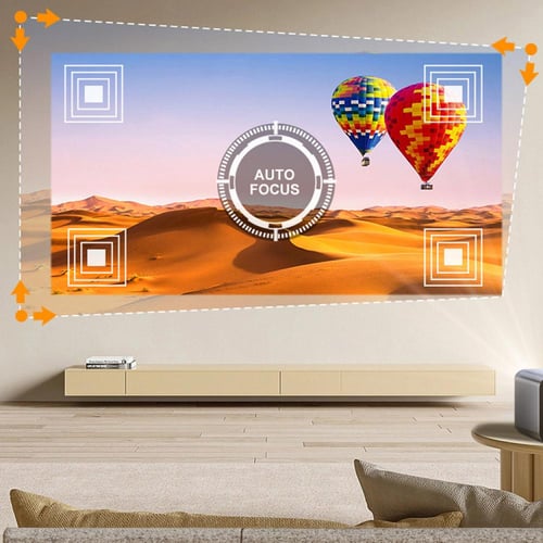 بروجكتر باينتك روك R90 مع ٢ مايك