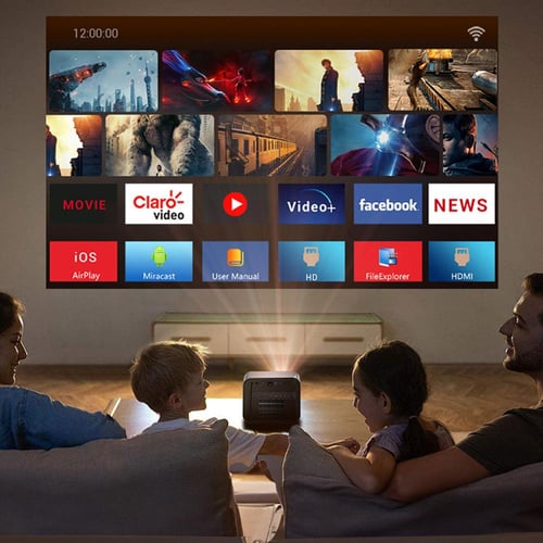 بروجكتر باينتك روك R90 مع ٢ مايك