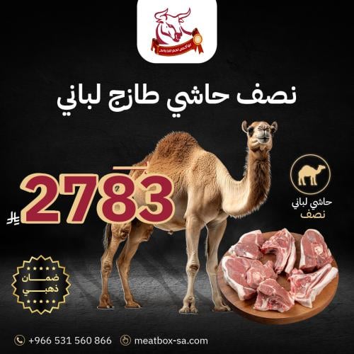 نصف حاشي طازج لباني