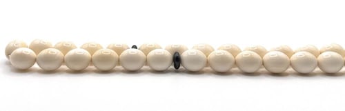 سبحة العاج الاصلية 100% مطعمة باليسر ( المرجان الأ...