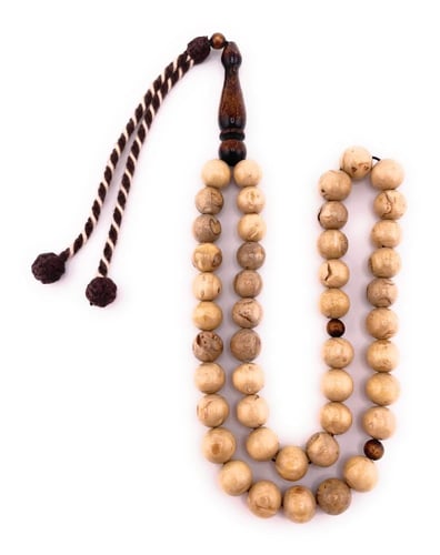 سبحة المرجان الأبيض أو (اليسر) ‏White Coral