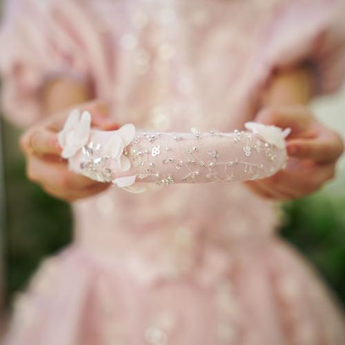 اكسسوارات الشعر