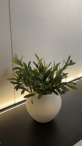 غصن زيتون 45 سم