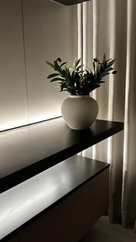 غصن زيتون 45 سم