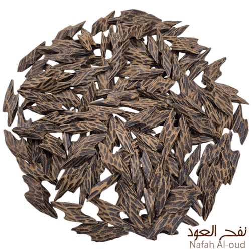 [197] عود تايقر الفيتنامي