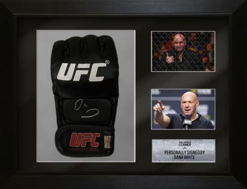 FRAMED DANA WHITE HAND SIGNED UFC GLOVE