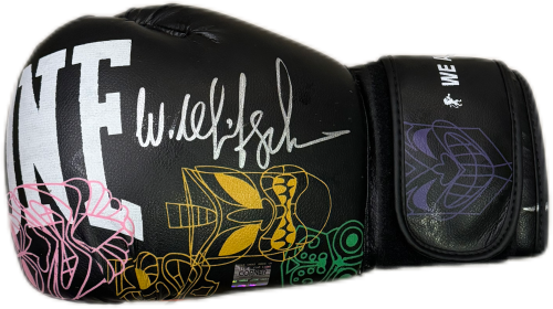 WLADIMIR KLITSCHKO HAND SIGNED GLOVE
