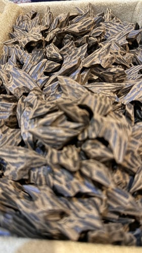 كمبودي تايقر محسن خاص