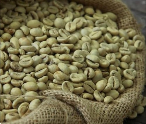 خيشة قهوة خولاني 50كيلو تقريبا