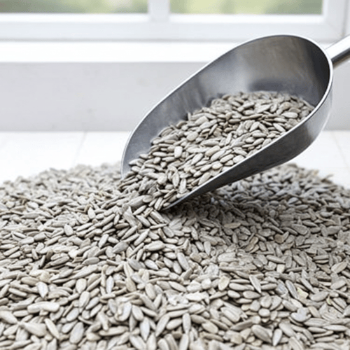 بذور دوار الشمس