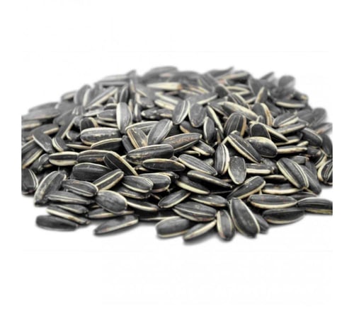 حب شمسي محمص ساده