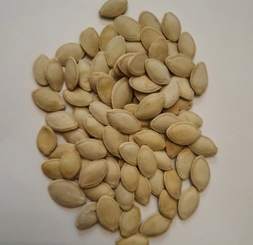 حب كوسا جمله