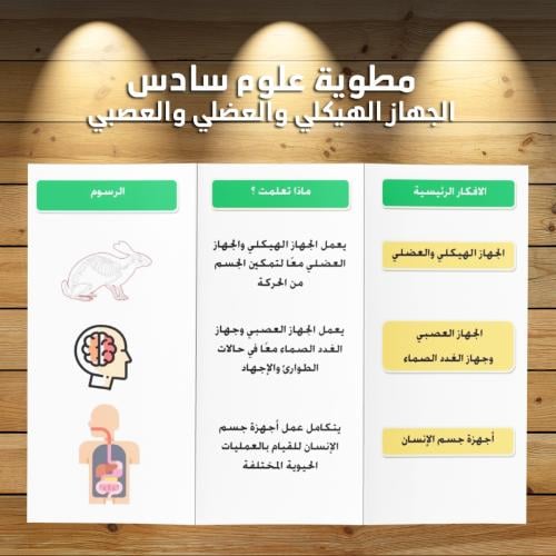 مطوية علوم سادس الفصل الدراسي الاول الجهاز الهيكلي...