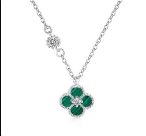 سلسال زهرة النرجس