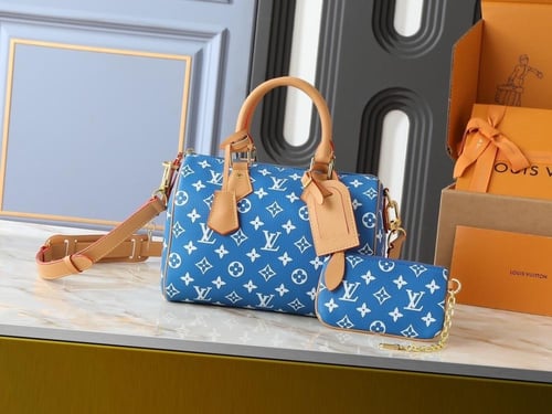 شنطه لويس فيتون