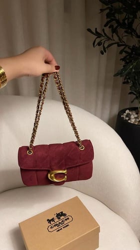 كوتش تابي برغندي