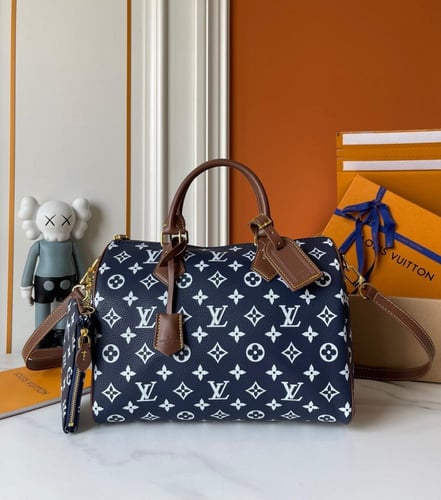 شنطه لويس فيتون