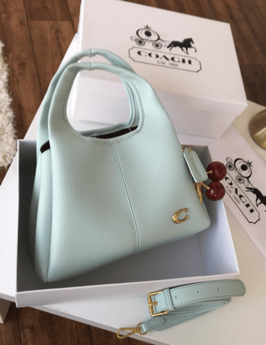 شنط كوتش لانا