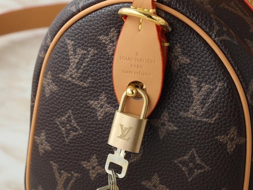 شنطه لويس فيتون