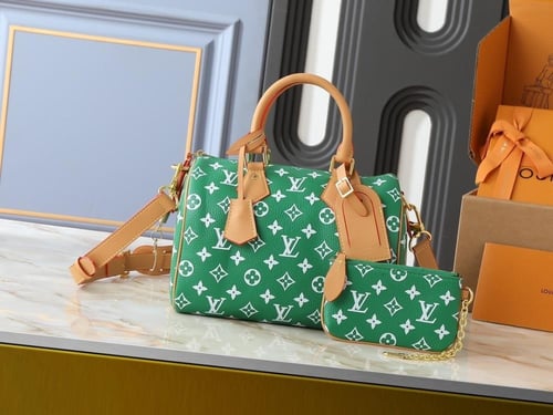 شنطه لويس فيتون