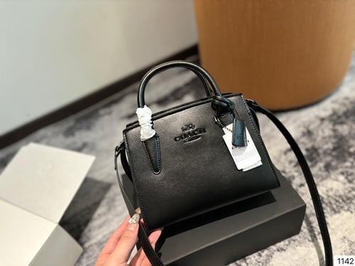 Coach mini