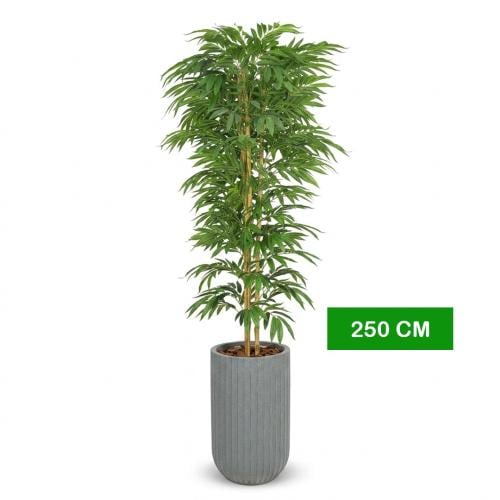 شجرة نخل البامبو صناعية بجذع طبيعي (ارتفاع 250 سم)...