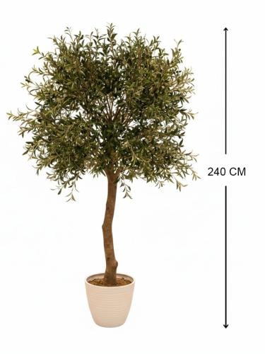 شجرة زيتون صناعية بجذع طبيعي - حوض بلاستيك