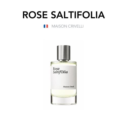 Rose SaltifOlia - MAISON CRIVELLI