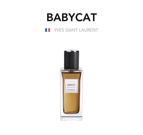 Babycat - YVES SAINT LAURENT
