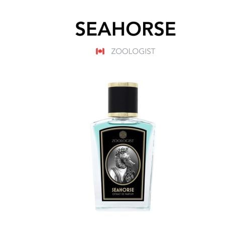 Seahorse - Zoologist