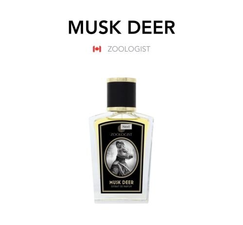 Musk Deer - Zoologist