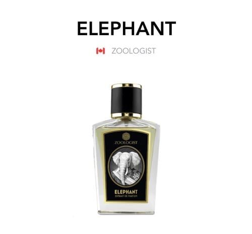 Elephant - Zoologist