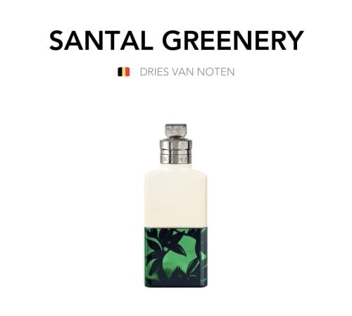 Santal Greenery - DRIES VAN NOTEN