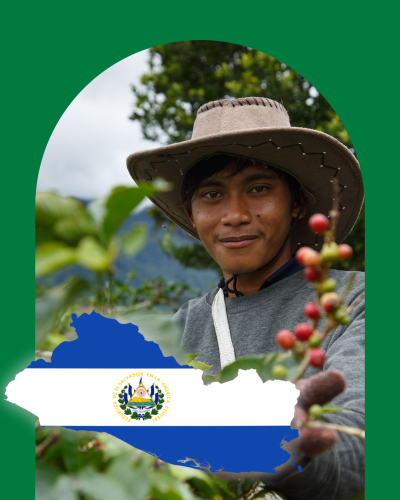 بن سيلفادور