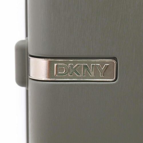 حقيبة مقاس صغير ماركة دكني