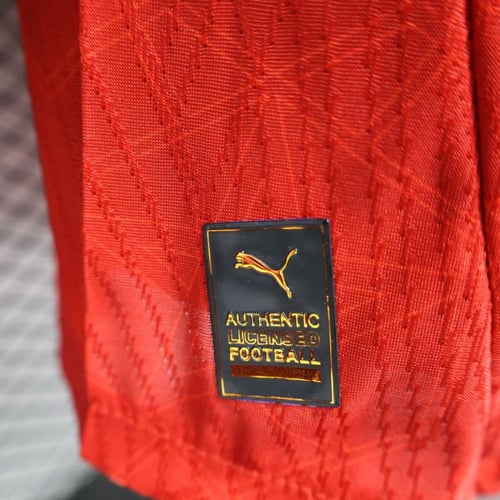 تيشيرت المغرب اساسي 25/26 - نسخة لاعبين