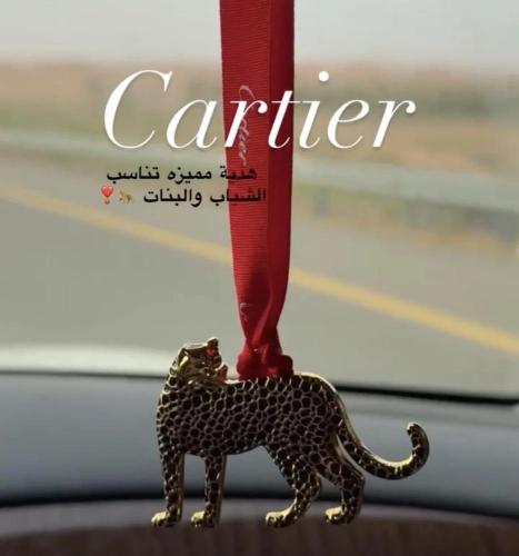 تعليقه كارتير للسياره مع الملحقات
