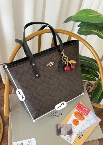 كوتش توت باق