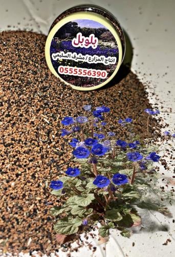 بلوبل (عبوه 30 ملي)
