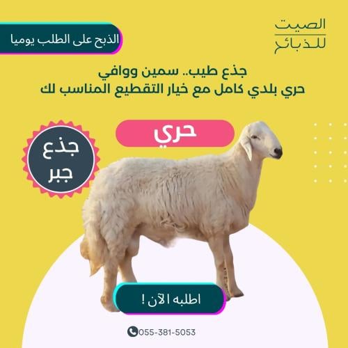 حري جذع جبر طيب - الصيت للذبائح