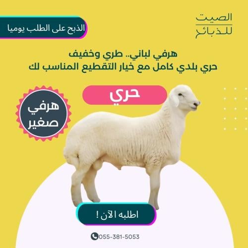 حري هرفي صغير- الصيت للذبائح
