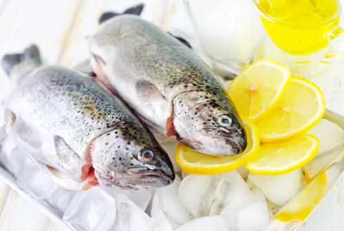 سمك سالمون - مجمد ( 7 كجم )