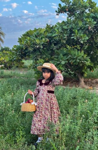 فستان باللون العنابي مع أبه مخمل .